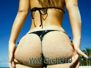 Wild_Orchid18