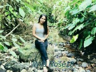 Wild_Rose18