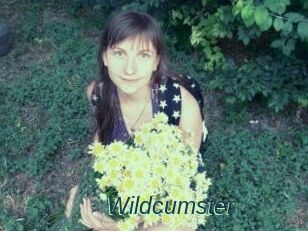 Wildcumster