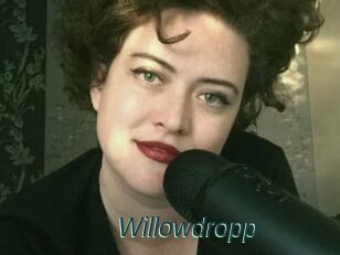 Willowdropp