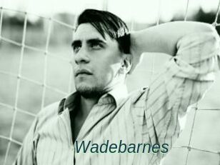 Wadebarnes