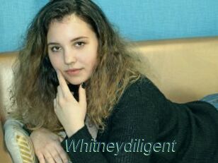 Whitneydiligent