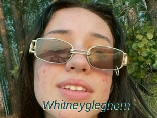 Whitneygleghorn