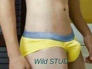 Wild_STUD