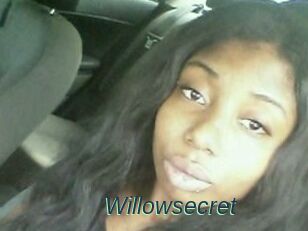 Willow_secret