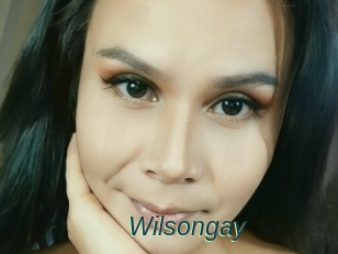 Wilsongay