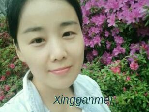 Xingganmei