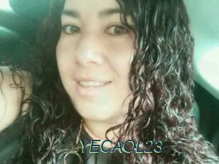 YECAOL23