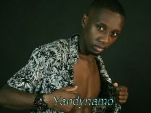 Yandynamo