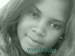 Ynesbrooks