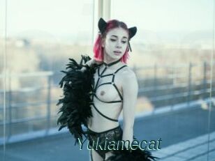 Yukiamecat