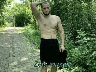 Zefs_muscle